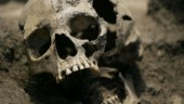 Skelett hittat i författaren Maria Küchens trädgård