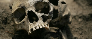 Skelett hittat i författaren Maria Küchens trädgård