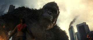 "Godzilla vs Kong" får uppföljare