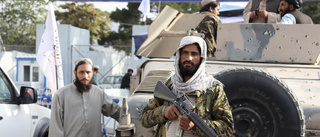 Att talibanerna ändrat sig är rent önsketänkande