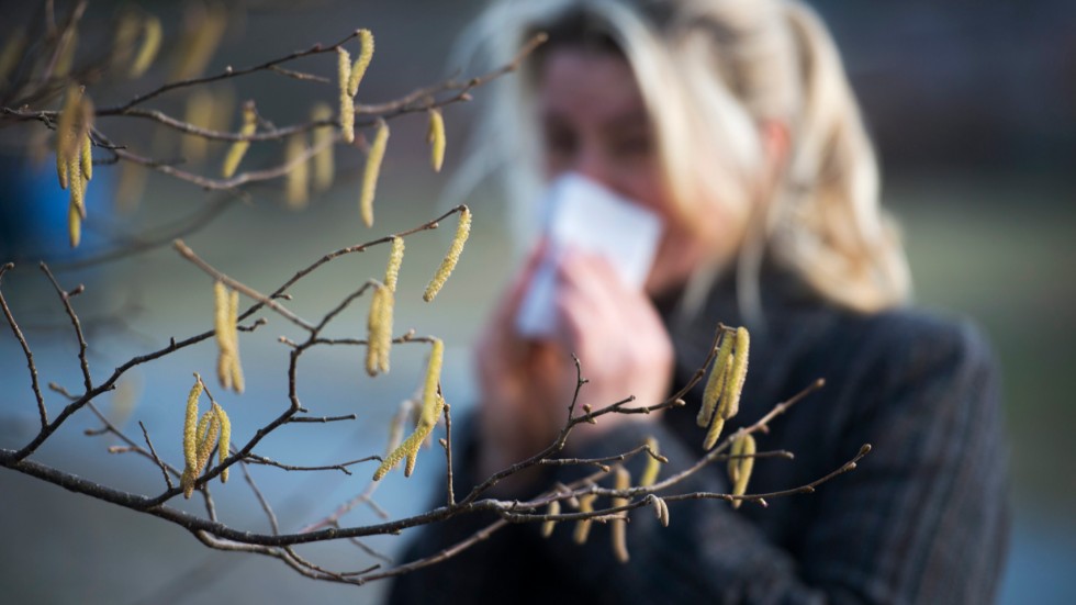 Tre av tio vuxna svenskar lider av någon form av pollenallergi.
