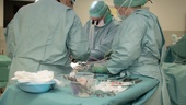 Kritik från IVO – vården brast efter operationen • Avled i sviterna