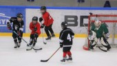 Piteå Hockeys klubbchef: "Vi har en akut brist på tider"