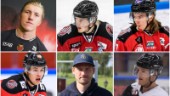 Fler namn på skadelistan när Piteå Hockey laddar för andra halvan: "Hoppas att ett par nya ansluter"