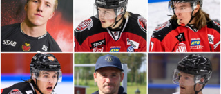 Fler namn på skadelistan när Piteå Hockey laddar för andra halvan: "Hoppas att ett par nya ansluter"