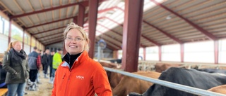 LISTAN: Här är gårdarna som mjölkar bäst på Gotland 