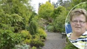 Hemma hos trädgårdsproffset: Leena-Kaisa älskar sina växter • Planerar för att slippa vattna • 6000 kvadrat