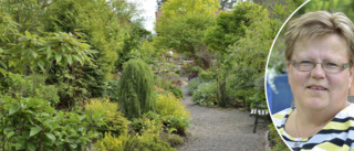 Hemma hos trädgårdsproffset: Leena-Kaisa älskar sina växter • Planerar för att slippa vattna • 6000 kvadrat