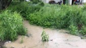 Kommunen vidtar åtgärder mot översvämningarna