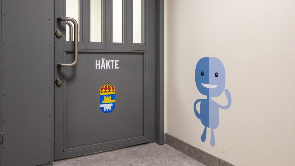 Svensk häkteslagstiftning får återkommande internationell kritik.