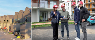 Trä ersätter betong när nya radhus byggs i Visby – "Minskar miljöpåverkan med 30 procent"