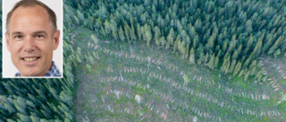 Norra skog tillbakavisar kritiken: "Vi följer alla regelverk"