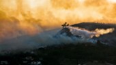 Skogsbrand på Samos – svenskar evakuerade