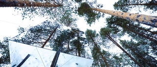 Fotomodeller till Tree hotel