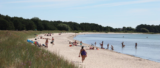 ALGLÄGET: Stora områden med algblomning i Östersjön – men klart vatten kring Gotland