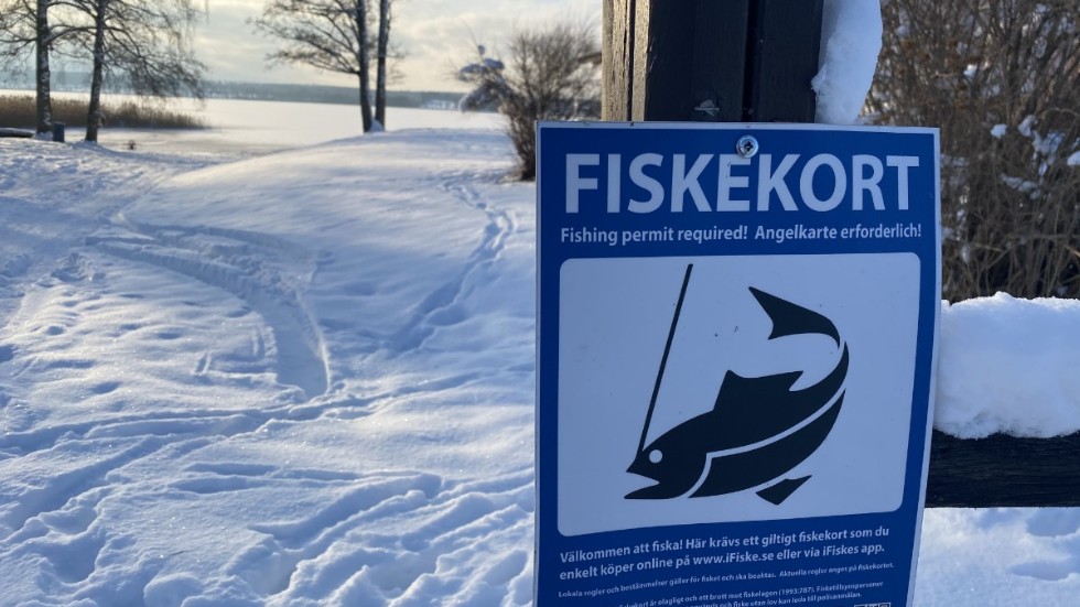 Ska man pimpla i vinter gäller det att hålla koll på vilka regler som gäller kring fiskekort på olika sjöar.