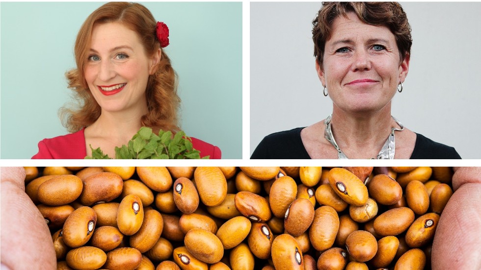 Den 10 februari är det Baljväxtens dag, instiftad av FN. Kocken Sigrid Bárány och Anna Tibblin, generalsekreterare på We Effect lyfter vinsten med att äta mer bönor i den här debattartikeln.
