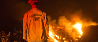 Utsläpp från bil tros ha orsakat skogsbrand