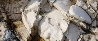 Klipporna helt rensade från fossiler: "Finns inga kvar"