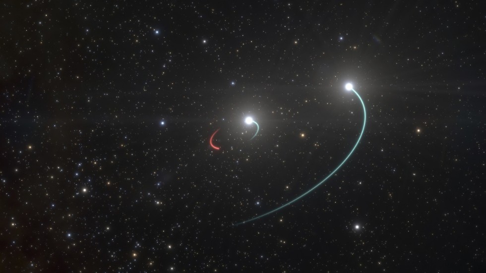 Det här är en illustration från European Southern Observatory som visar det svarta hål som har upptäckts närmast vårt solsystem, i stjärnbilden Kikaren. Dess rörelse är illustrerat i rött. Hålet är "osynligt", men går att påvisa via dess påverkan på näraliggande himlakroppar.