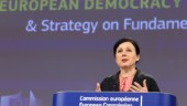 EU om demokratin: Vi måste agera