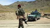 Minst 14 döda i bombdåd i Afghanistan