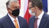 EU till Ungern: Gå till domstol!