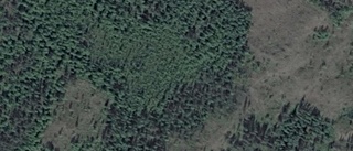 Ägarbyte för skogsmarken på Kuoksu 4050 i Vittangi