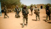 Två franska soldater dödade i Mali