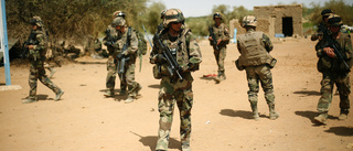 Två franska soldater dödade i Mali