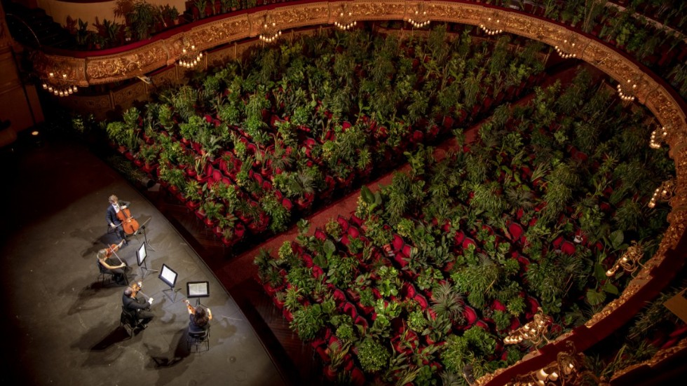 Genrep för musikerna i Barcelonas operahus Liceu – som uppträdde för krukväxter i somras.