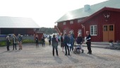 Inga tillsatser när mat avhandlas på Bergs gård