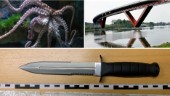 Bar kniv– för att skydda sig mot attackerande bläckfisk