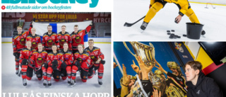 Läs årets hockeybilaga • SHL  • SDHL • Hockeyettan • Intervjuer • Krönikor • Analyser 