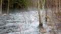SMHI varnar för höga flöden – tre vattendrag pekas ut