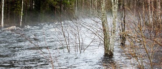 SMHI varnar för höga flöden – tre vattendrag pekas ut