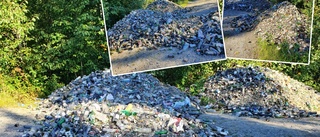 Stor mängd glasavfall hittades på skogsväg – kommunen har nu polisanmält miljöbrottet: "Aldrig varit med om tidigare" 