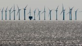 Utbyggd vindkraft tar inte hänsyn till hållbarhet