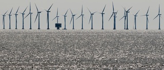 Stoppa all vindkraft både på land och till havs
