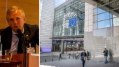 Luleåsonen John Kostet driver Norrbottensfrågor i Bryssel: "Jobbar för att lyfta Norrbotten i EU"