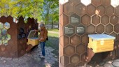 Flera tusen bin hyr in sig i Rothoffsparken i sommar: "Vi hoppas att bina och kupan ska få vara ifred"