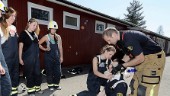 Ungdomsbrandkår ska starta i Skellefteå • Moderaternas förslag är redan på väg att genomföras