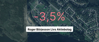 Så gick det för Roger Börjesson Livs Aktiebolag senaste året