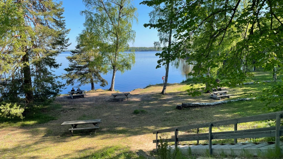 G Ut Och Skogsbada I Sommar Tips P Bra St llen