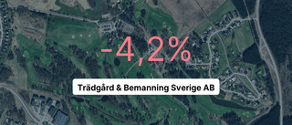 Årsredovisningen klar: Så gick det för Trädgård & Bemanning