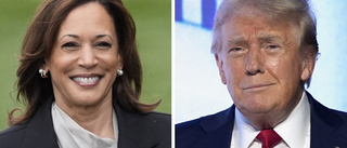 Trump: Visste inte ens att Harris var svart