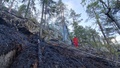Överkalix drabbades av två skogsbränder på kort tid: "Åskan"