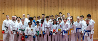 Karate-kids och äldre fick träna med storstjärnan