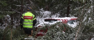 Personbil körde ner i diket – och in bland granarna