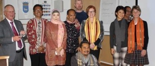 Gotland inspirerar ö i Indonesien